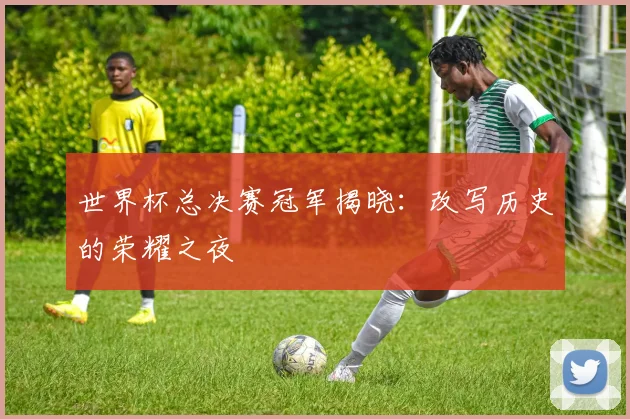 世界杯总决赛冠军揭晓:改写历史的荣耀之夜