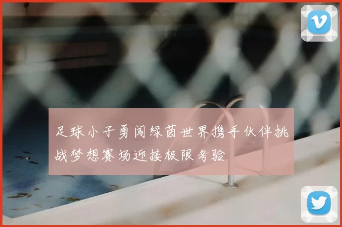 足球小子勇闯绿茵世界携手伙伴挑战梦想赛场迎接极限考验