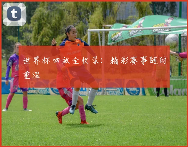 世界杯回放全收录:精彩赛事随时重温