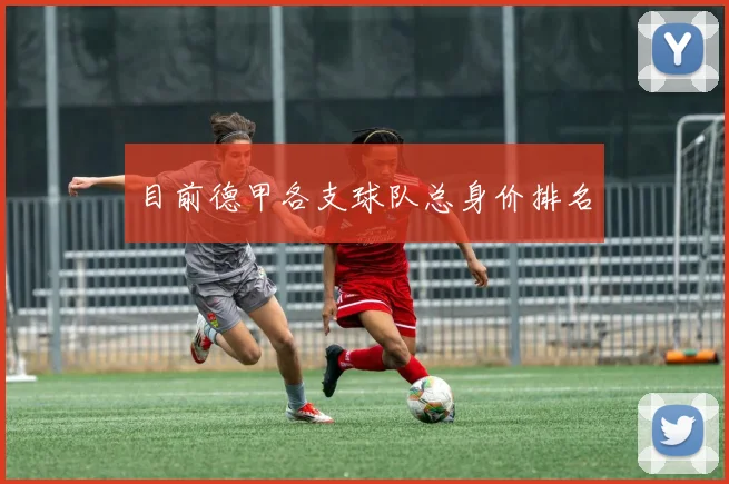 目前德甲各支球队总身价排名