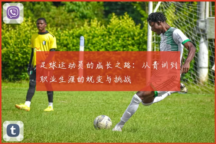 足球运动员的成长之路：从青训到职业生涯的蜕变与挑战