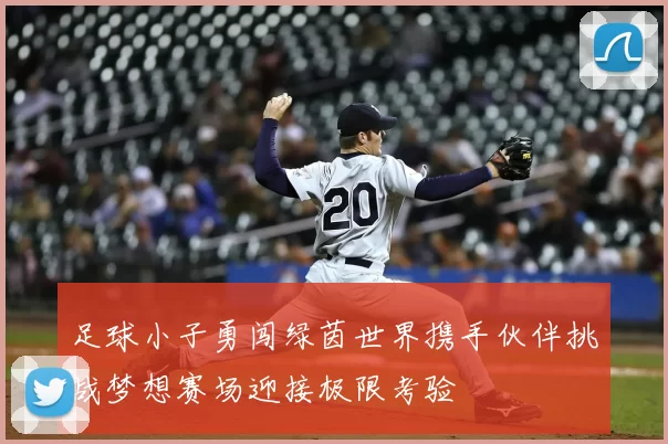 足球小子勇闯绿茵世界携手伙伴挑战梦想赛场迎接极限考验