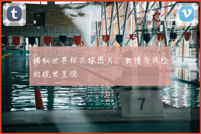 揭秘世界杯买球图片:激情与风险的视觉呈现