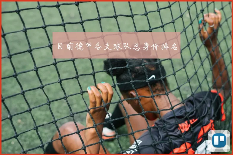 目前德甲各支球队总身价排名