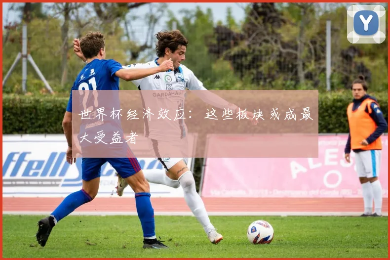 世界杯经济效应:这些板块或成最大受益者