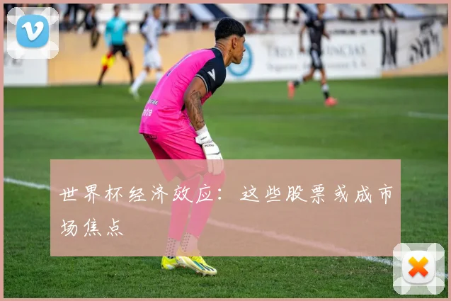 世界杯经济效应:这些股票或成市场焦点