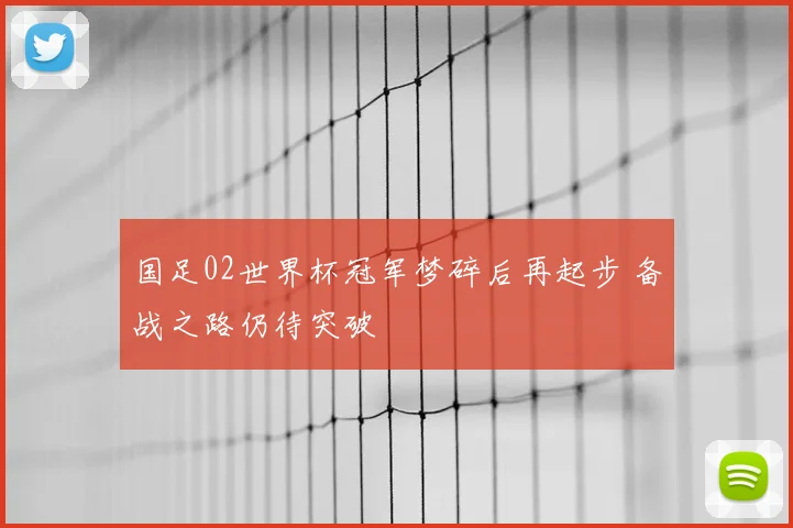 国足02世界杯冠军梦碎后再起步 备战之路仍待突破
