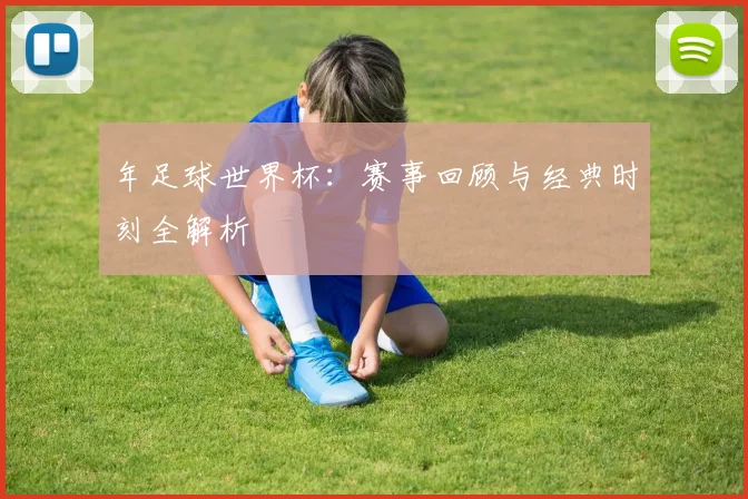 年足球世界杯：赛事回顾与经典时刻全解析