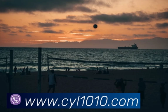 App Interface Preview